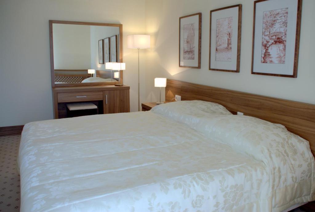 Hotel Termy Palacowe Наленчув Номер фото